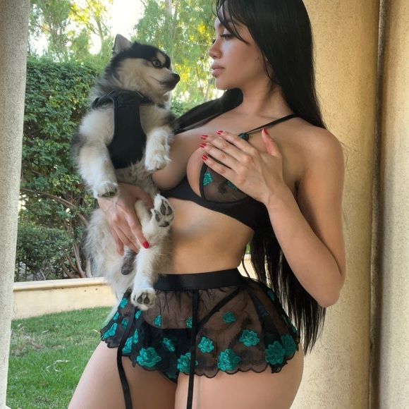 Lingerie Set, leggings, and hoodie - Picture 1 of 7